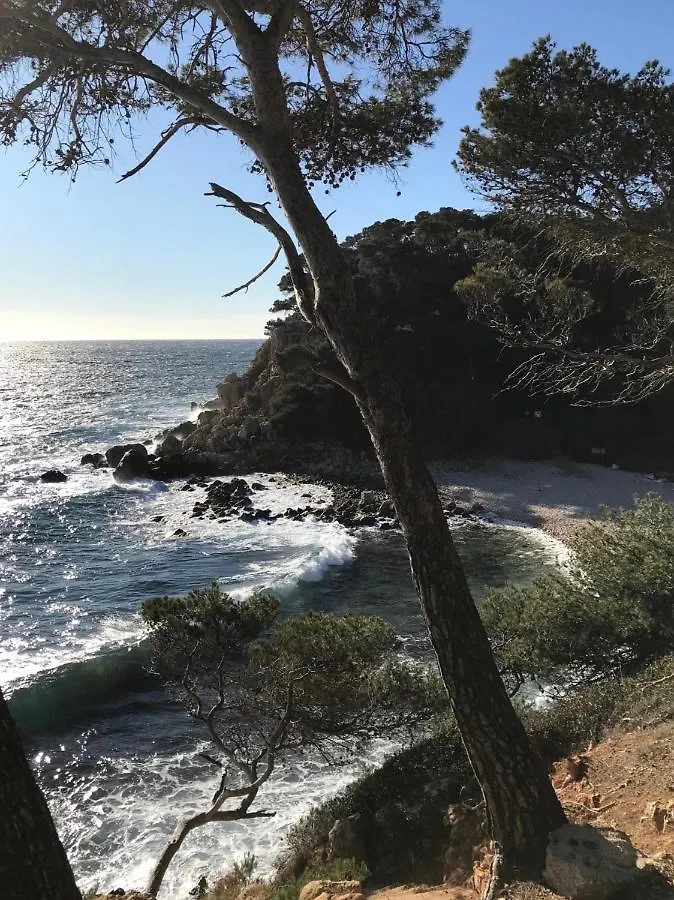 Feriehus Villa Lucienne Bandol , T2 4 Etoiles Avec Garage, Dans Les Calanques