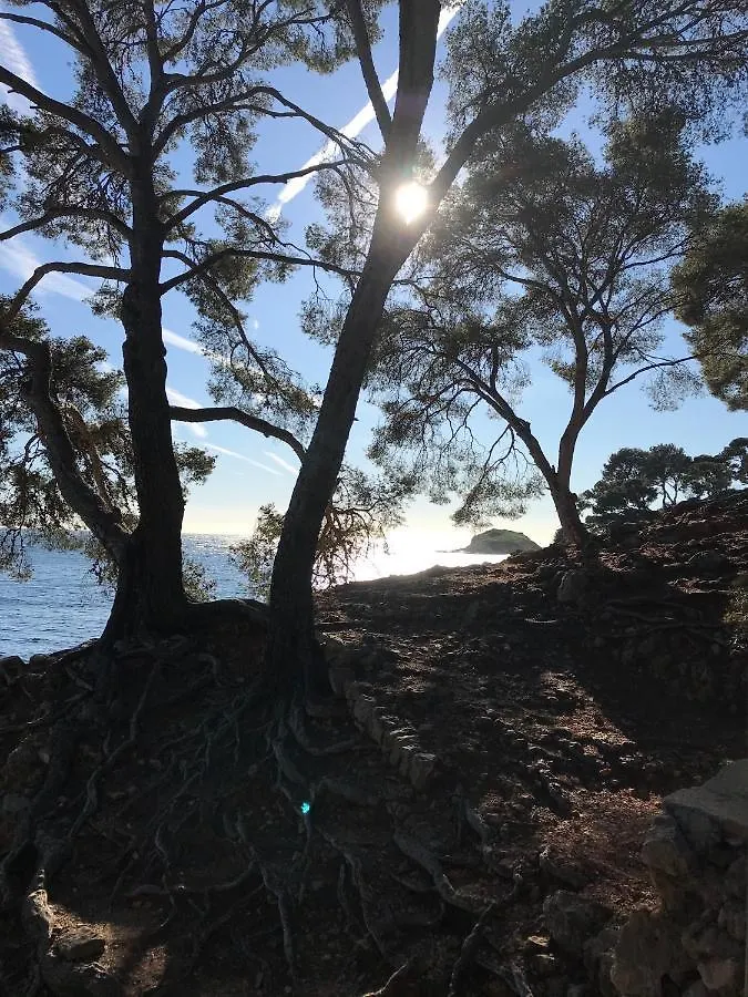 Villa Lucienne Bandol , T2 4 Etoiles Avec Garage, Dans Les Calanques Feriehus